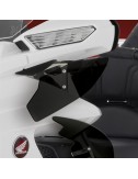 Deflektor Goldwing 2018