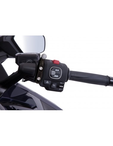 Držák telefonu Honda Goldwing